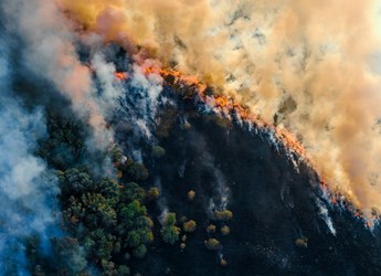 Why Climate Change and the Maui Fires Should Encourage You to Have Property Insurance