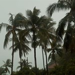 Hurricane Idalia Causes Billions in Damages