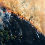Why Climate Change and the Maui Fires Should Encourage You to Have Property Insurance