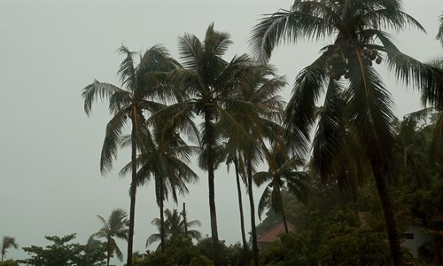 Hurricane Idalia Causes Billions in Damages