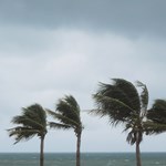 What to Expect for the 2023 Hurricane Season